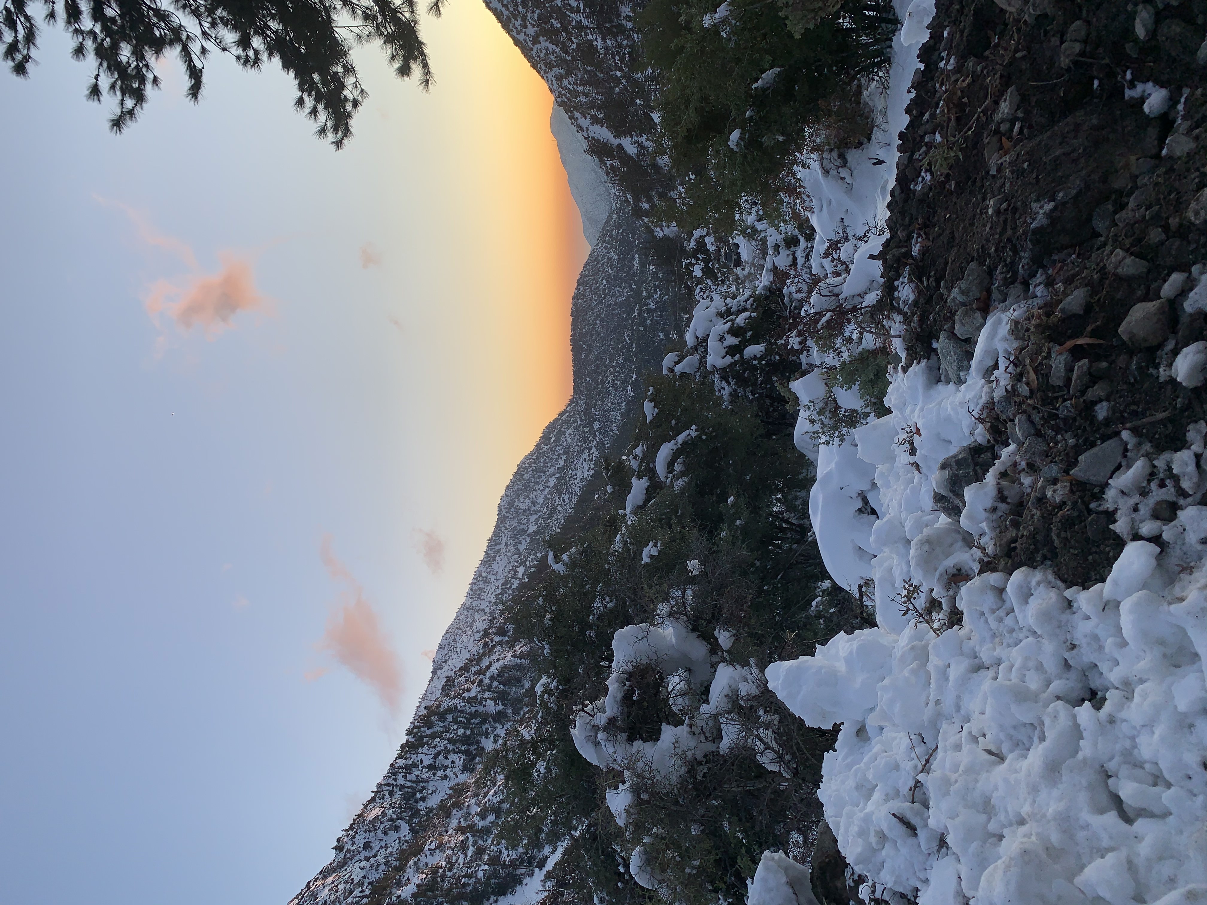 image_7
